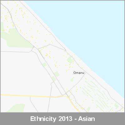 Ethnicity Mt Maunganui Asian ProductImage 2013