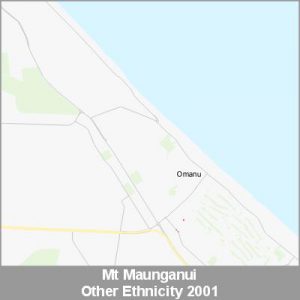 Ethnicity Mt Maunganui Other ProductImage 2001