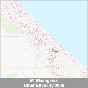 Ethnicity Mt Maunganui Other ProductImage 2006