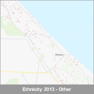 Ethnicity Mt Maunganui Other ProductImage 2013