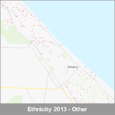 Ethnicity Mt Maunganui Other ProductImage 2013