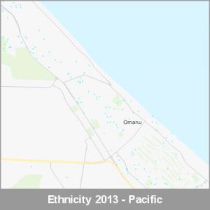 Ethnicity Mt Maunganui Pacific ProductImage 2013