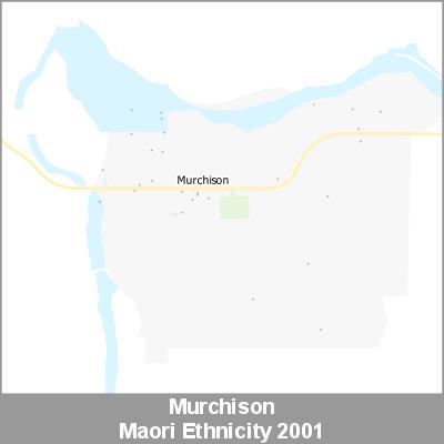 Ethnicity Murchison Maori ProductImage 2001
