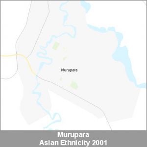 Ethnicity Murupara Asian ProductImage 2001