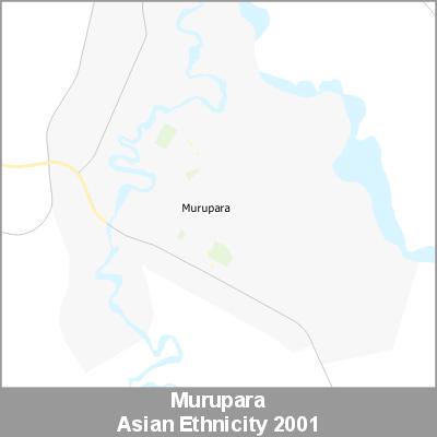 Ethnicity Murupara Asian ProductImage 2001