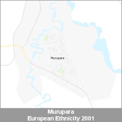 Ethnicity Murupara European ProductImage 2001