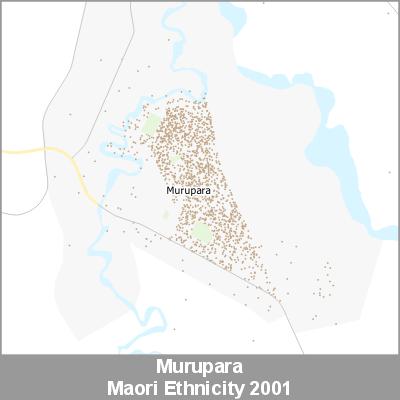 Ethnicity Murupara Maori ProductImage 2001