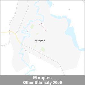 Ethnicity Murupara Other ProductImage 2006
