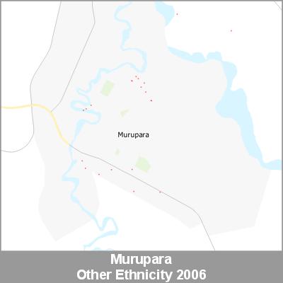 Ethnicity Murupara Other ProductImage 2006