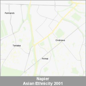 Ethnicity Napier Asian ProductImage 2001