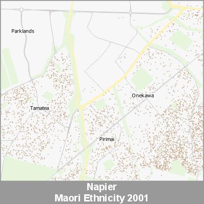 Ethnicity Napier Maori ProductImage 2001