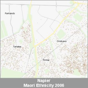Ethnicity Napier Maori ProductImage 2006
