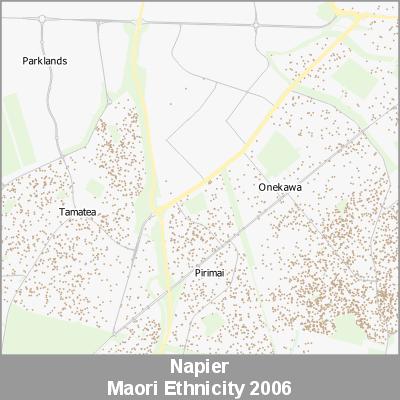 Ethnicity Napier Maori ProductImage 2006