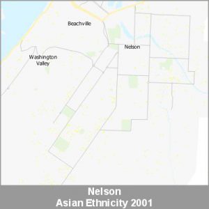Ethnicity Nelson Asian ProductImage 2001