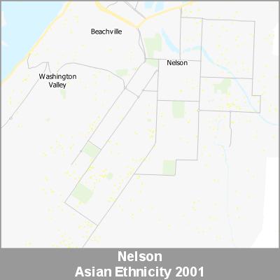 Ethnicity Nelson Asian ProductImage 2001