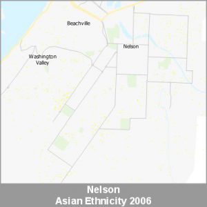 Ethnicity Nelson Asian ProductImage 2006