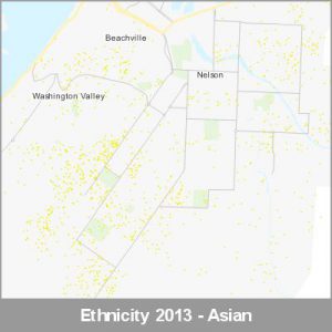 Ethnicity Nelson Asian ProductImage 2013