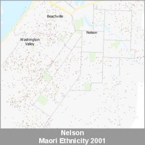 Ethnicity Nelson Maori ProductImage 2001