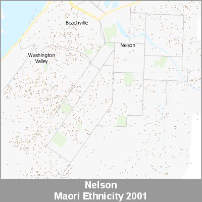 Ethnicity Nelson Maori ProductImage 2001