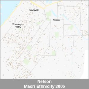 Ethnicity Nelson Maori ProductImage 2006