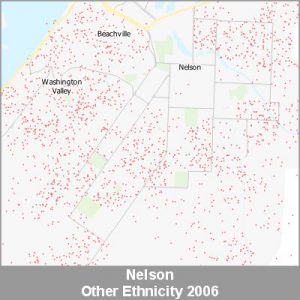 Ethnicity Nelson Other ProductImage 2006