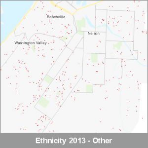 Ethnicity Nelson Other ProductImage 2013
