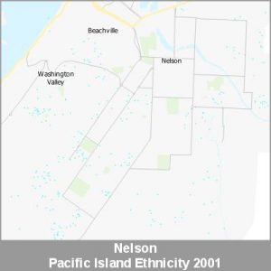 Ethnicity Nelson Pacific ProductImage 2001
