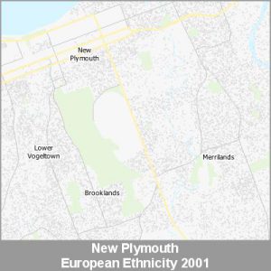 Ethnicity New Plymouth European ProductImage 2001