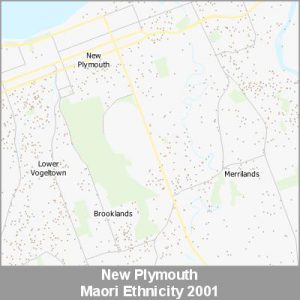 Ethnicity New Plymouth Maori ProductImage 2001