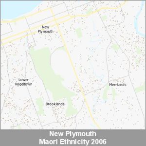 Ethnicity New Plymouth Maori ProductImage 2006
