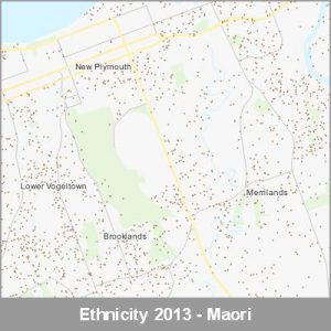 Ethnicity New Plymouth Maori ProductImage 2013