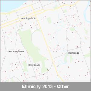 Ethnicity New Plymouth Other ProductImage 2013