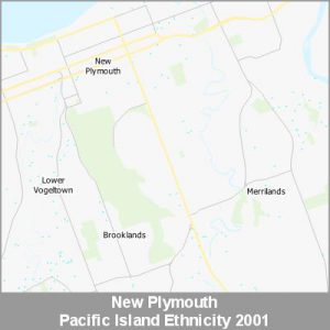 Ethnicity New Plymouth Pacific ProductImage 2001