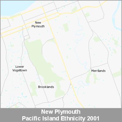 Ethnicity New Plymouth Pacific ProductImage 2001