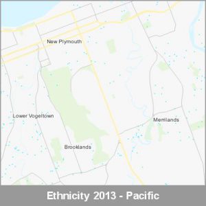 Ethnicity New Plymouth Pacific ProductImage 2013