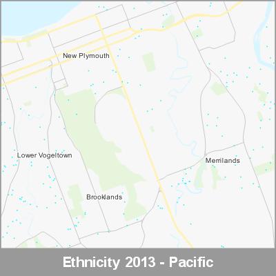 Ethnicity New Plymouth Pacific ProductImage 2013