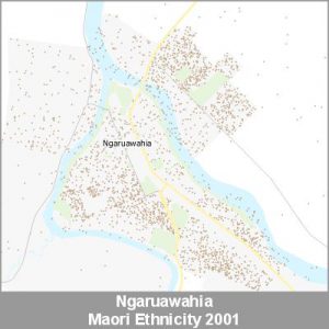 Ethnicity Ngaruawahia Maori ProductImage 2001