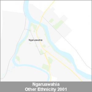 Ethnicity Ngaruawahia Other ProductImage 2001