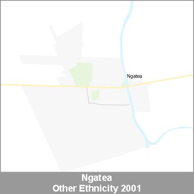 Ethnicity Ngatea Other ProductImage 2001