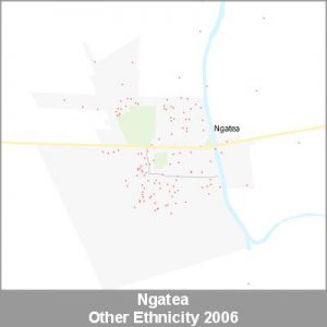 Ethnicity Ngatea Other ProductImage 2006