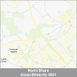 Ethnicity North Shore Asian ProductImage 2001