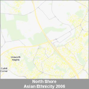 Ethnicity North Shore Asian ProductImage 2006