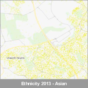 Ethnicity North Shore Asian ProductImage 2013