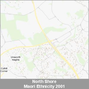 Ethnicity North Shore Maori ProductImage 2001