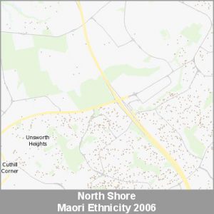 Ethnicity North Shore Maori ProductImage 2006