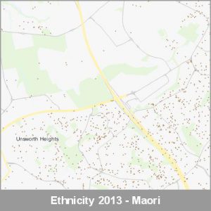 Ethnicity North Shore Maori ProductImage 2013