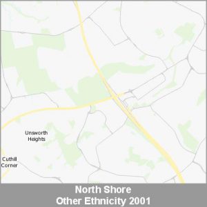 Ethnicity North Shore Other ProductImage 2001