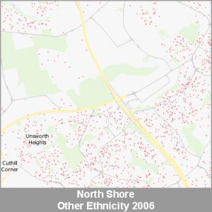 Ethnicity North Shore Other ProductImage 2006
