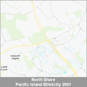 Ethnicity North Shore Pacific ProductImage 2001