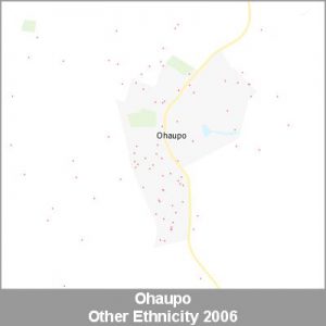 Ethnicity Ohaupo Other ProductImage 2006